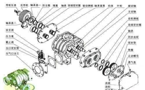 
罗茨风机结构及工作原理解剖图！