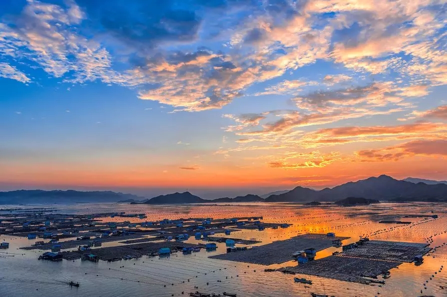 水产养殖太难了？那是因为你没用无油空压机！